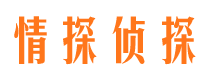 北关市侦探